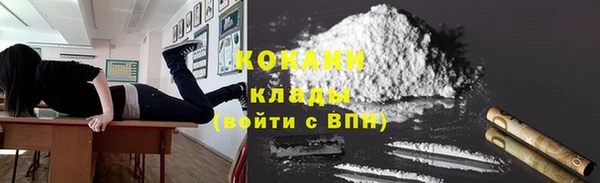 соль ск Алексин