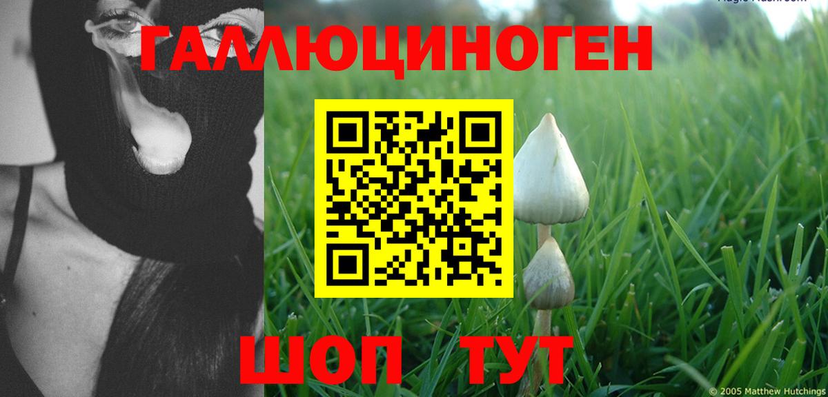 Галлюциногенные грибы Cubensis Тула