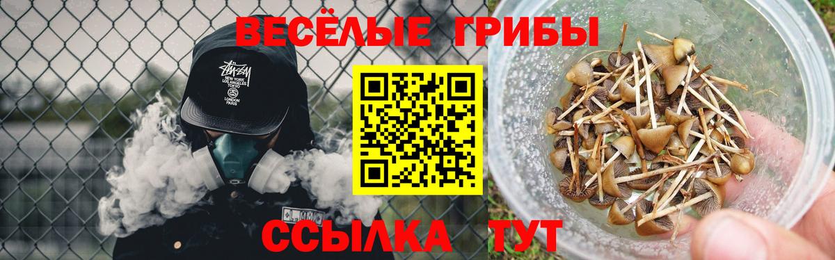 Галлюциногенные грибы GOLDEN TEACHER  Вход с VPN  Тула 